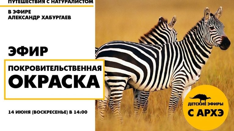 Покровительственная окраска фото