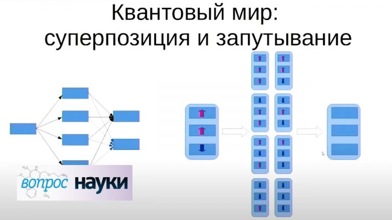 Типы квантовых компьютеров разработаны на данный момент