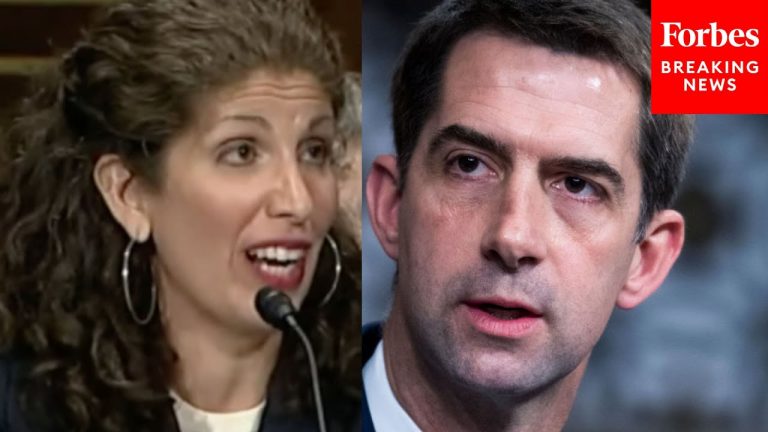 'Last Time You Flew, Did You Have To Show An ID?': Tom Cotton Grills